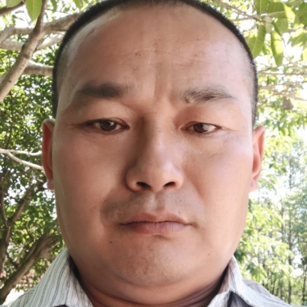 彩虹停止陶醉的照片