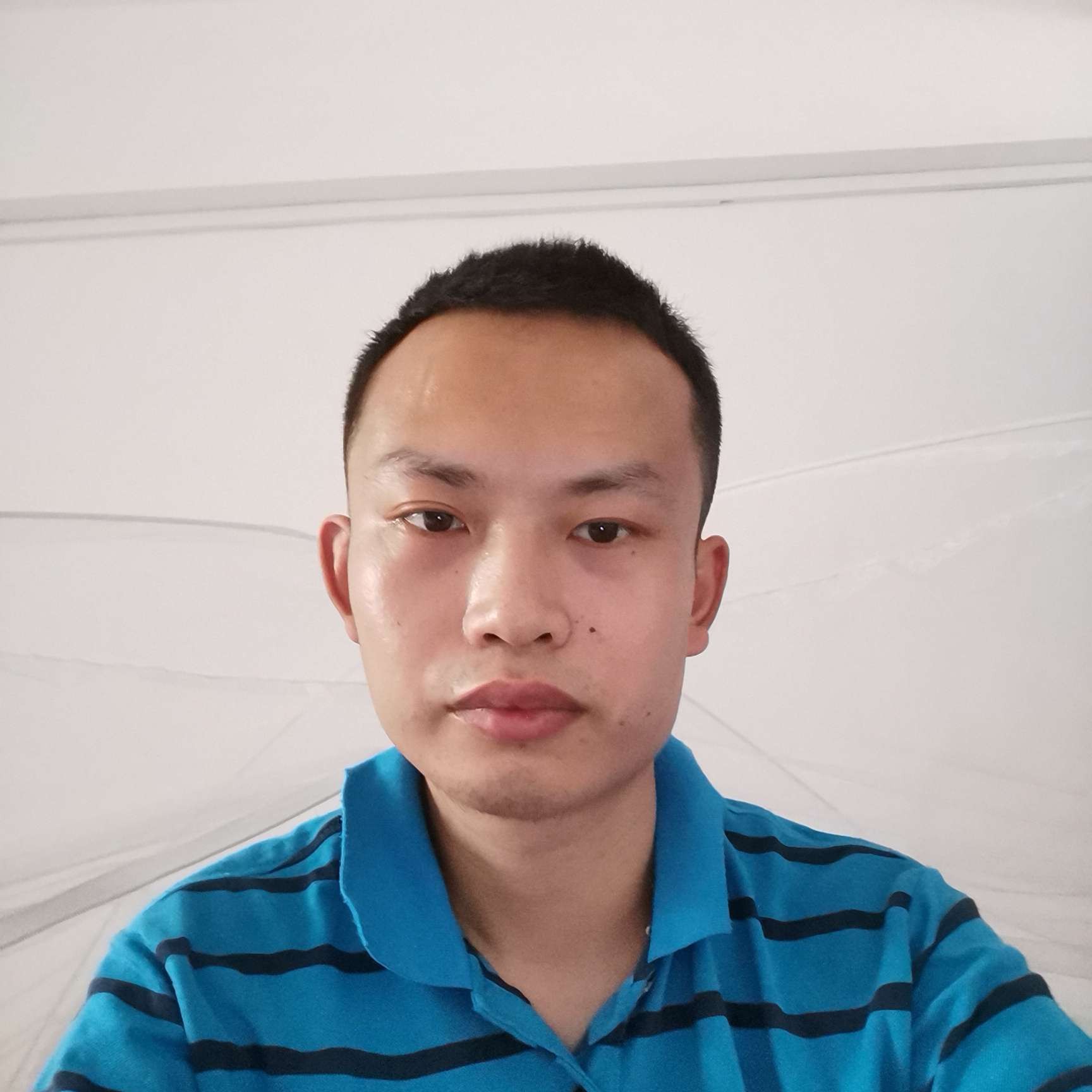 执着和绝影的照片