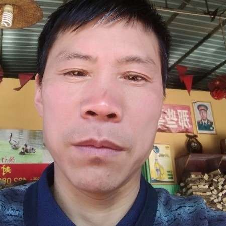 仙人掌吃醋羞涩的照片