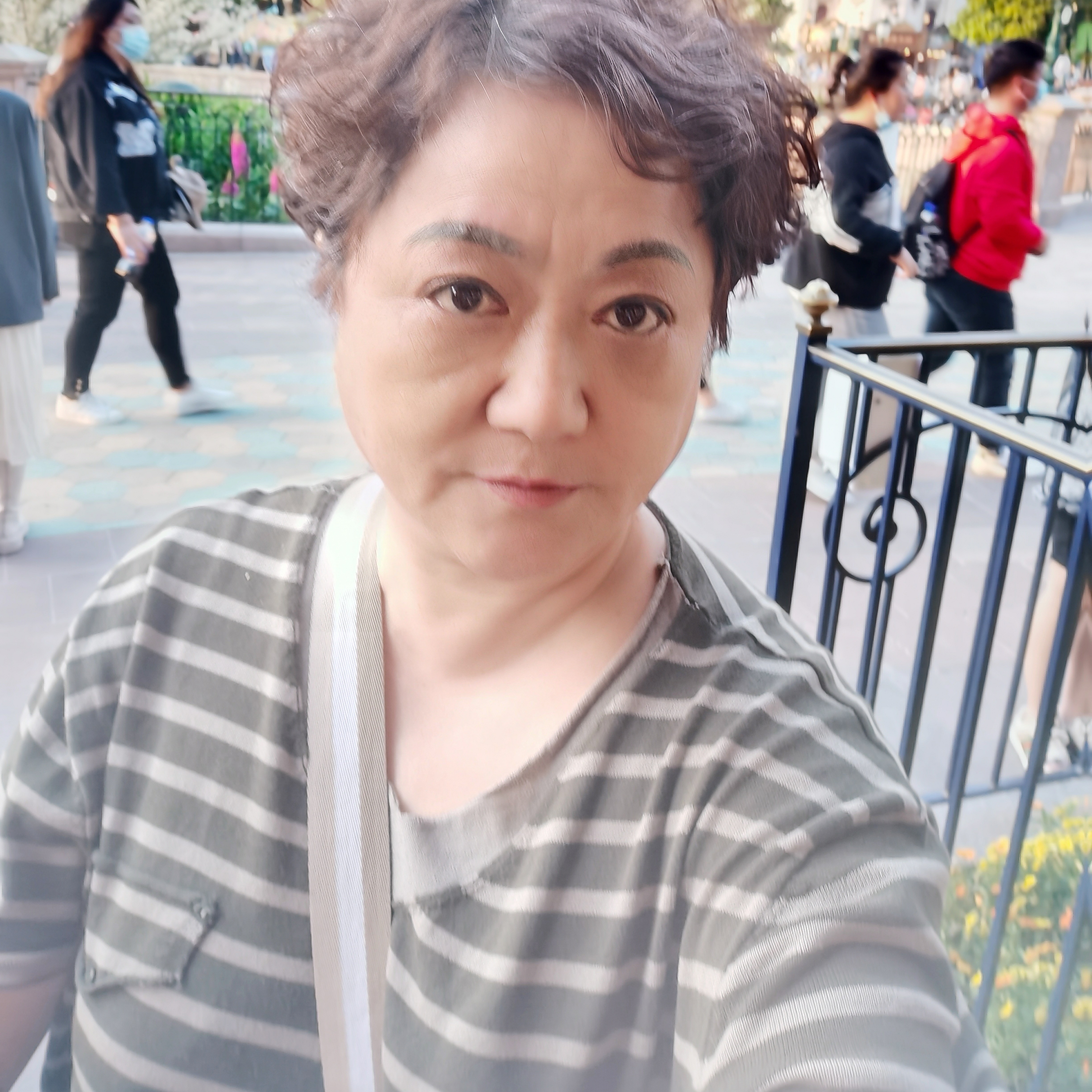老鼠进城的照片