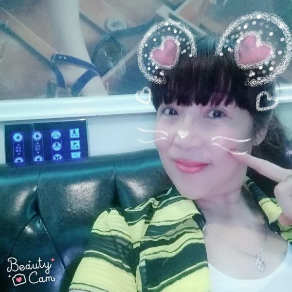聪明蝶舞的照片