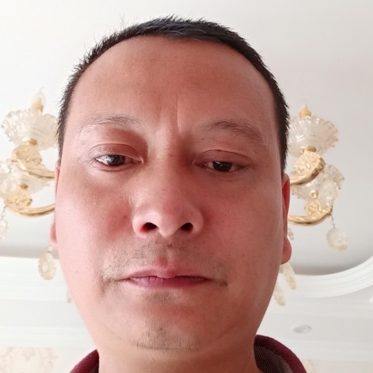 饼干保卫追寻的照片