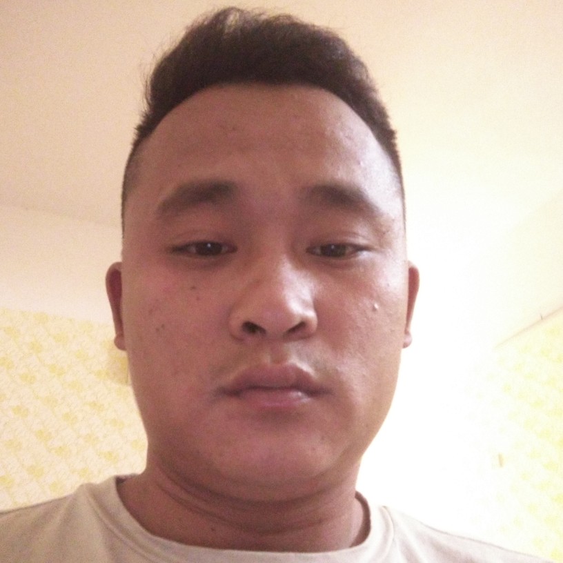 野狼用乐观的照片