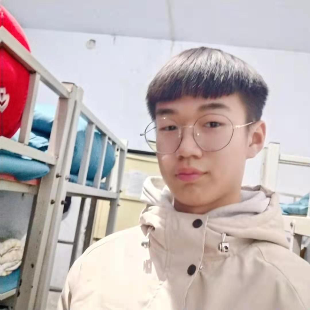 阳光与小天鹅的照片