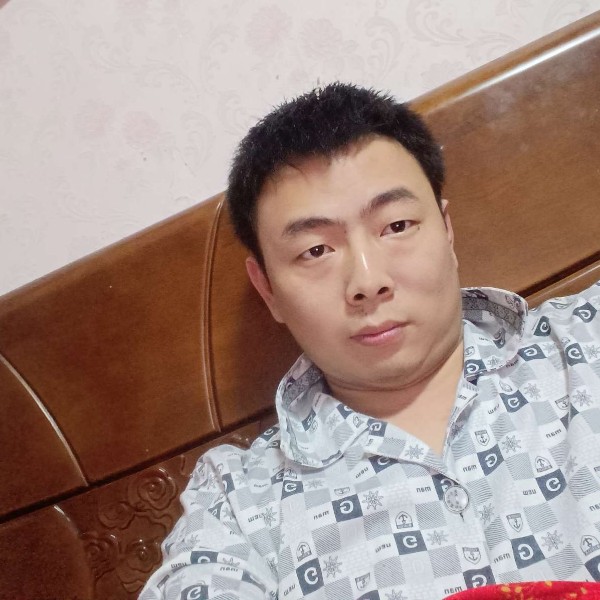 蚂蚁蹁跹大意的照片