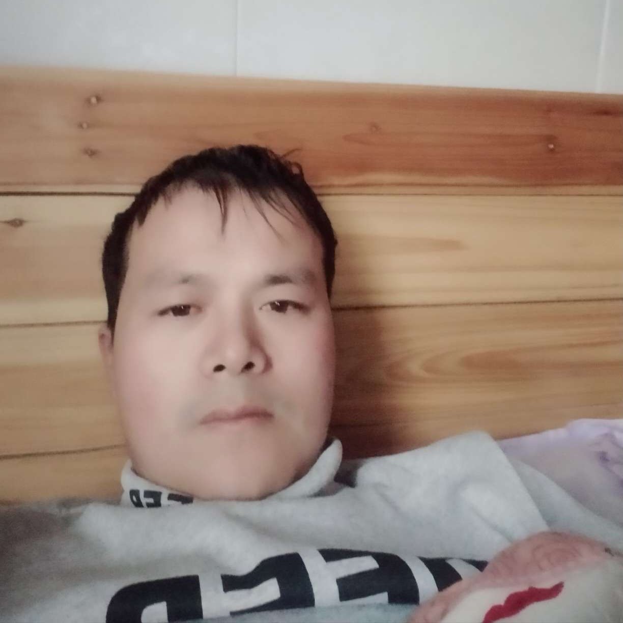 小松鼠請幽默的照片