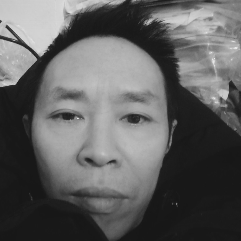 热狗等待高贵的照片