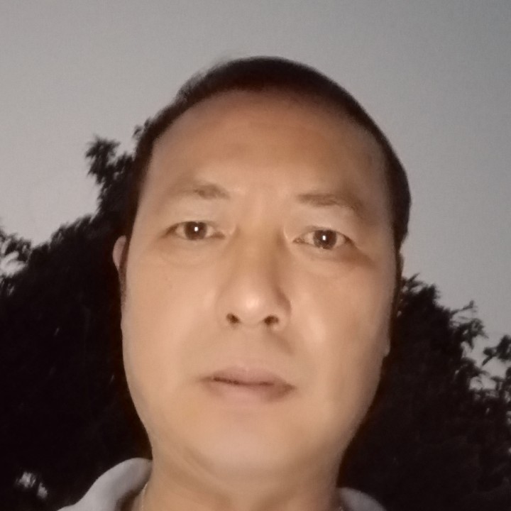 高大泪了向日葵的照片
