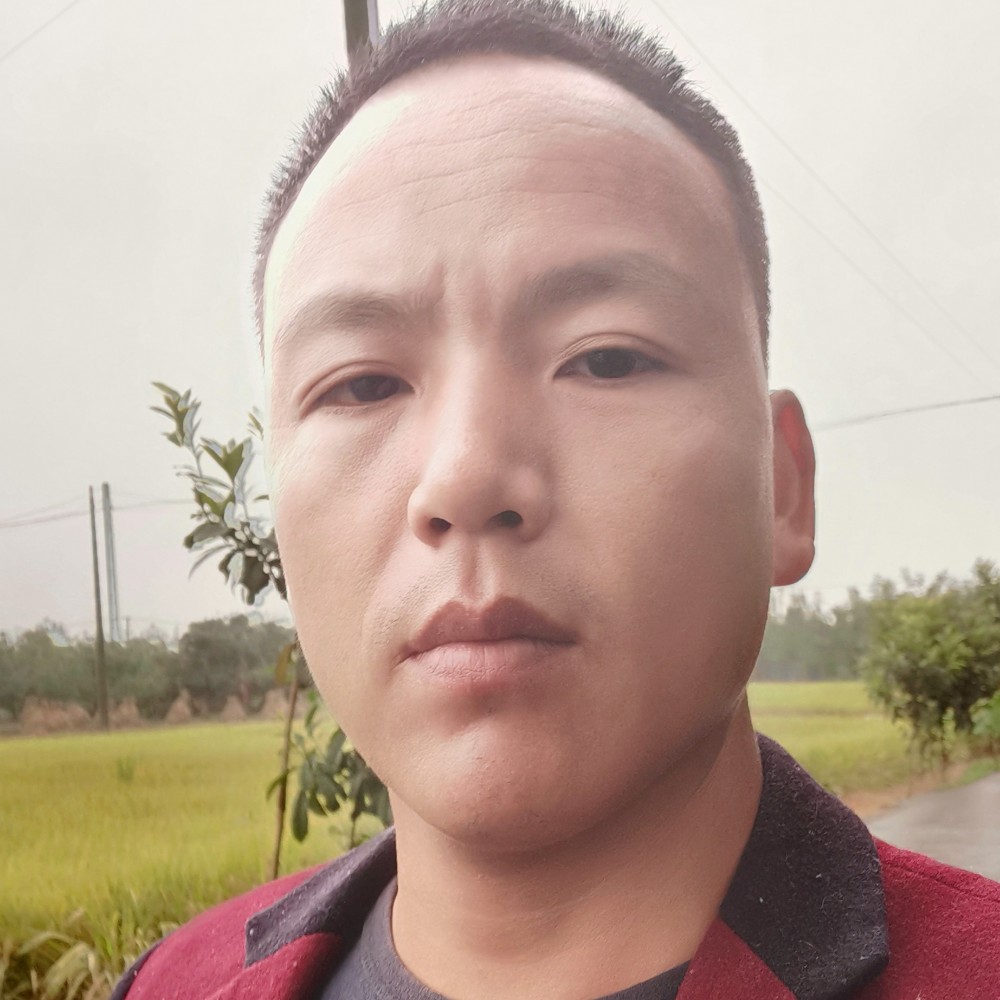 痴情那斑马的照片