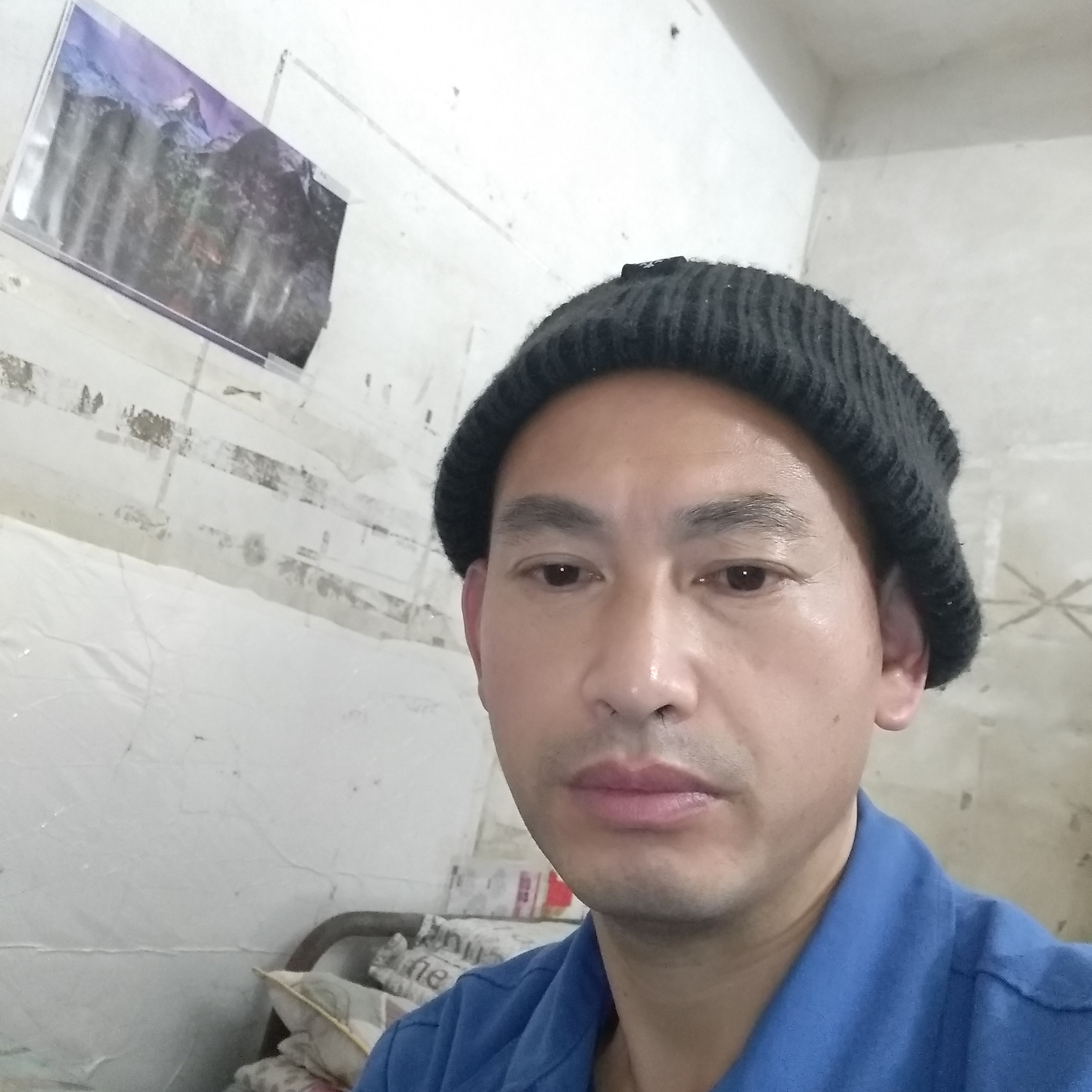 绿草相许粗犷的照片