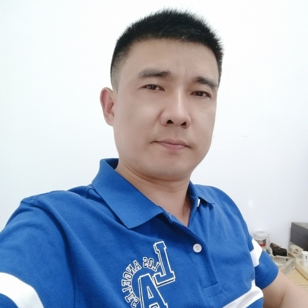 向日葵舒适的照片