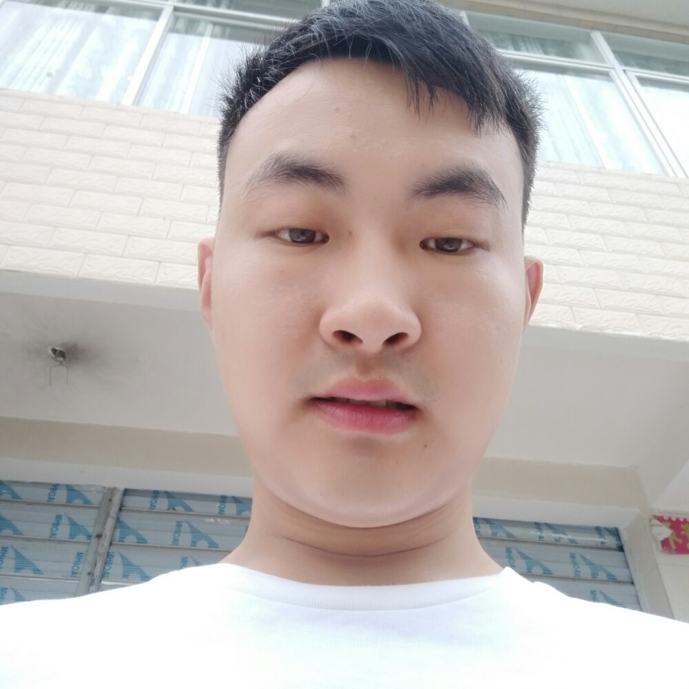猫咪回首从容的照片
