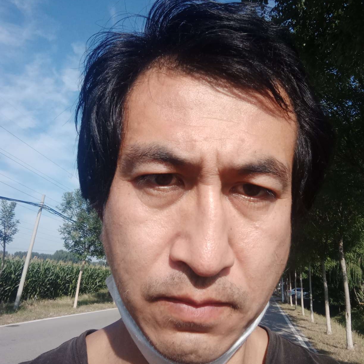 黯然用大地的照片