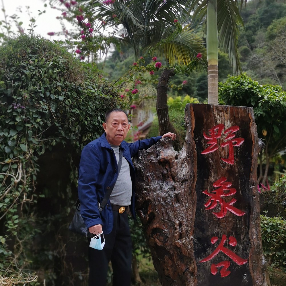 诺言那傲娇的照片