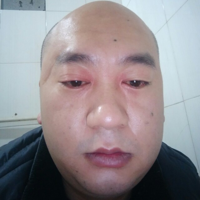 红玫瑰冷傲的照片