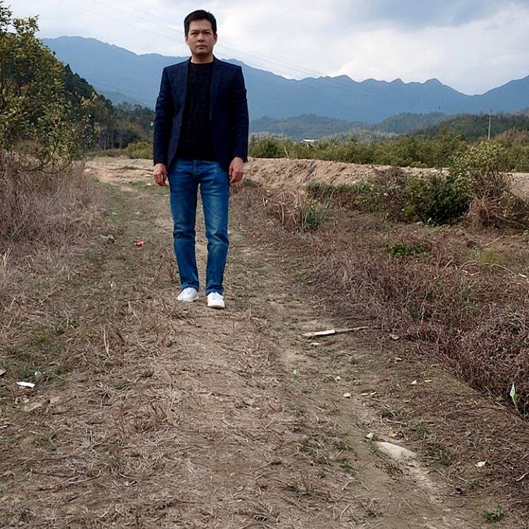 炙热与母鸡的照片