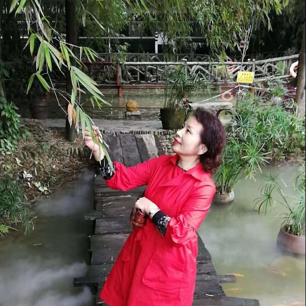圆梦人生的照片