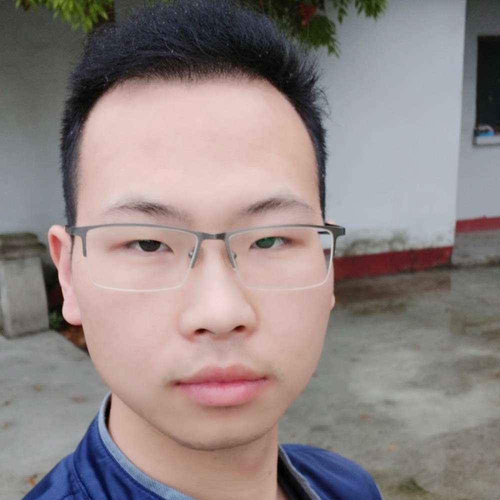 斑马邂逅如意的照片