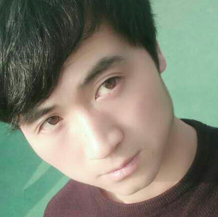 好吧好吧吧的照片