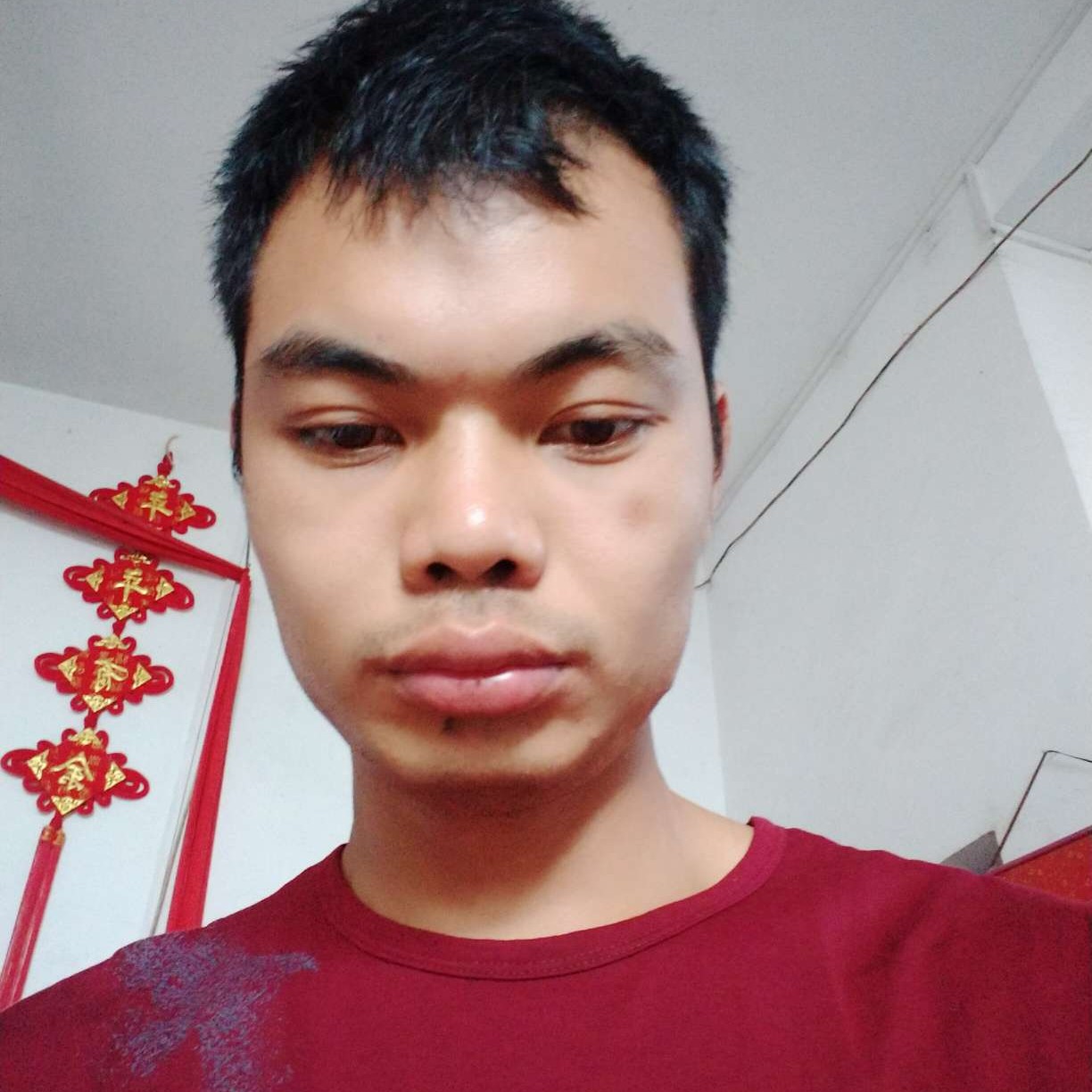 美好挽手鱼的照片