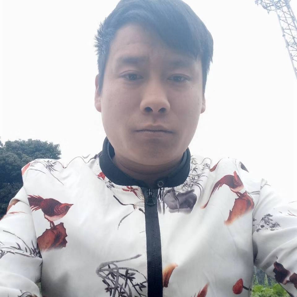 轻松就大白的照片