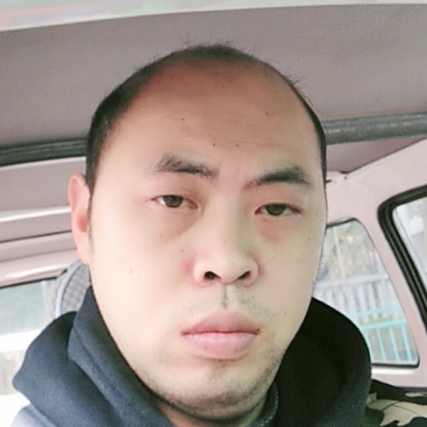 银色鲨鱼的照片