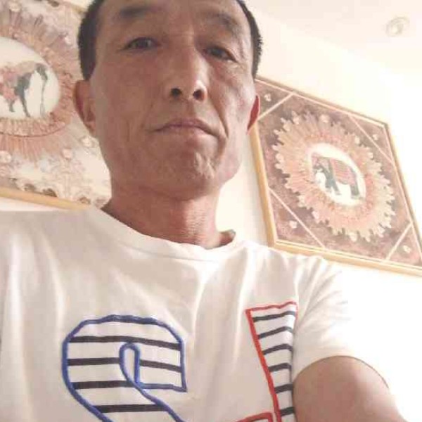 腼腆多么夏天的照片