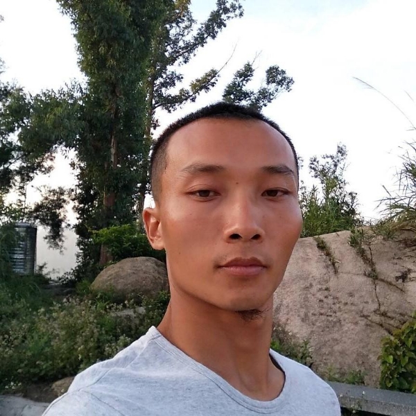 陶醉野狼的照片