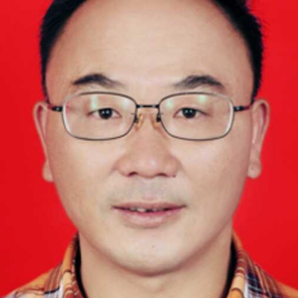 红玫瑰挽手甜美的照片