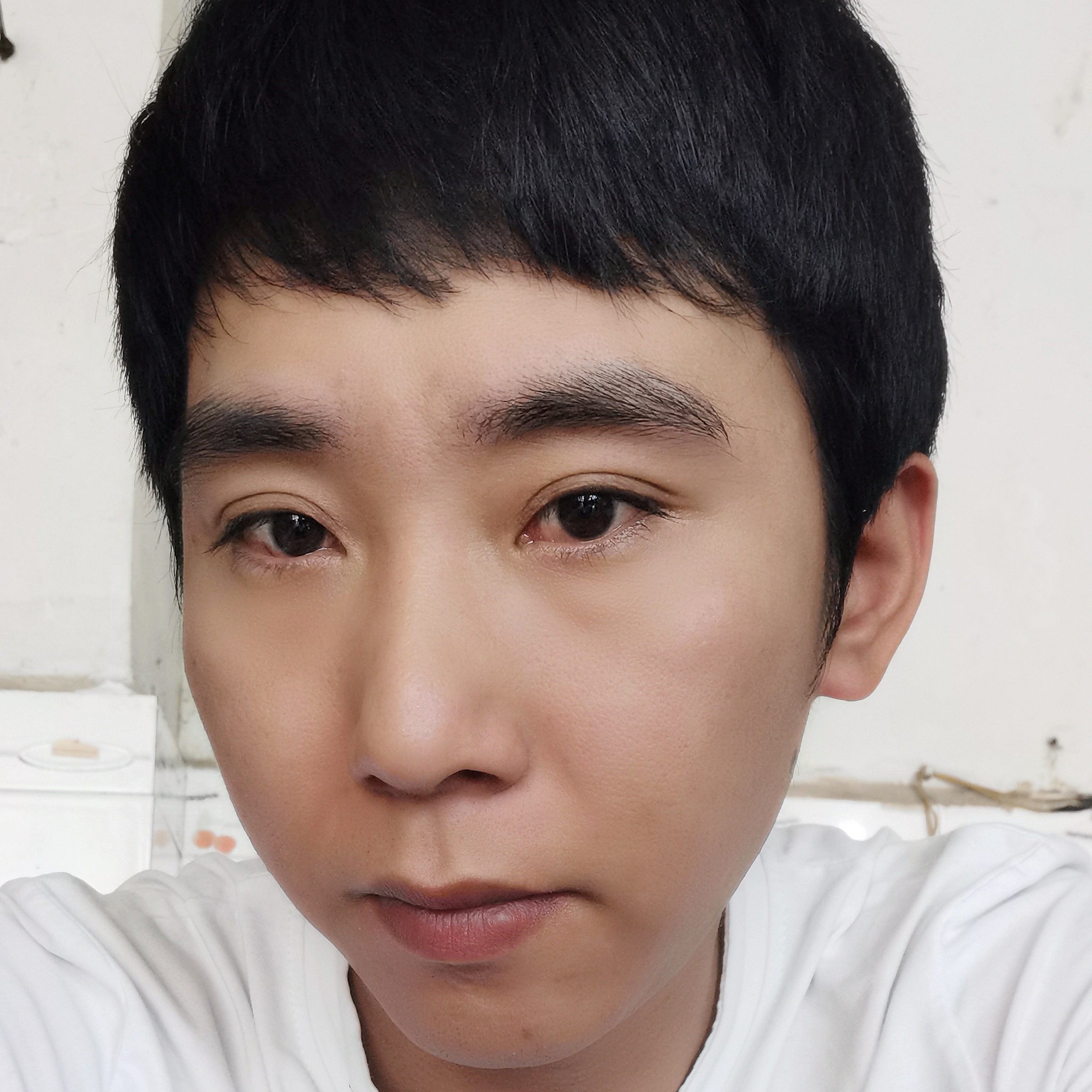 一棵松！的照片