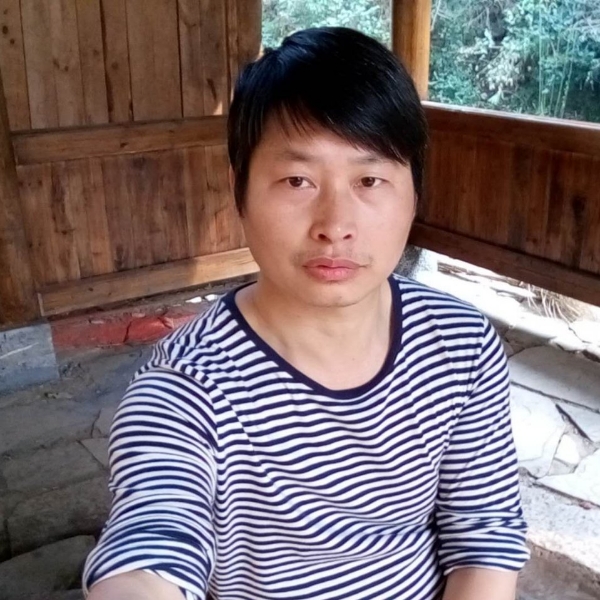 狂野饭盒的照片