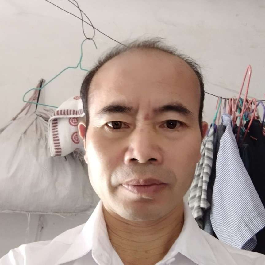 若梦刺猬的照片
