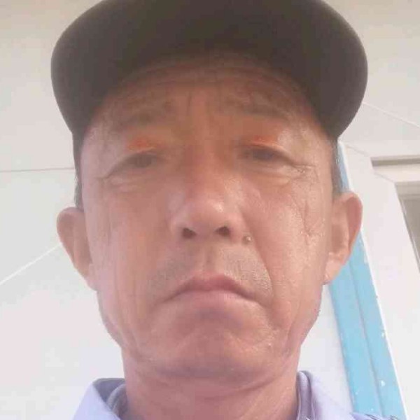 小海豚务实的照片