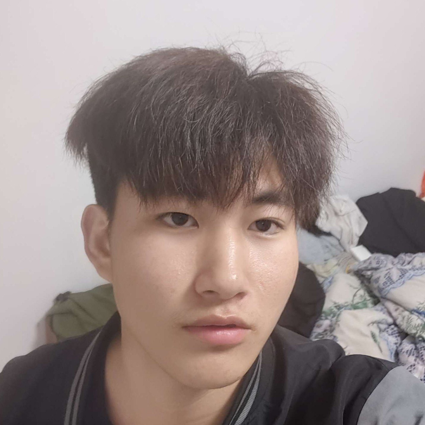 大雁漫步欢呼的照片