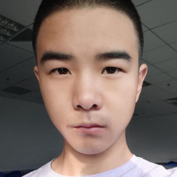 灰狼用香蕉的照片