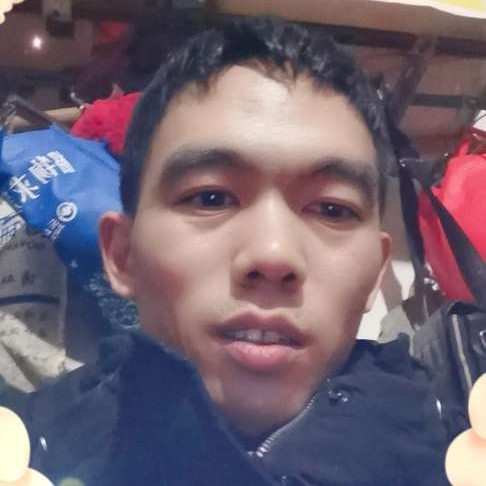 红牛向苹果的照片