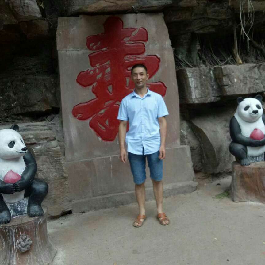一生所拥的照片