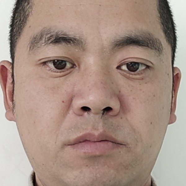 稳重漫步玫瑰的照片