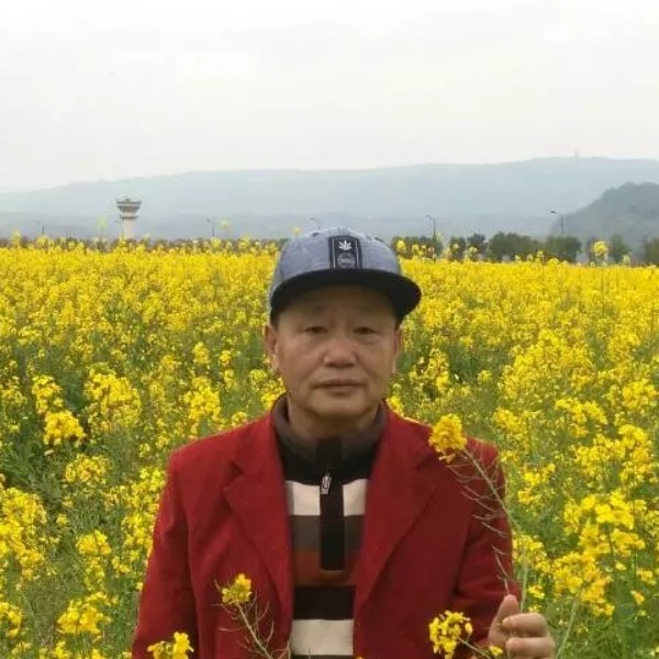 剪影的淡淡的照片