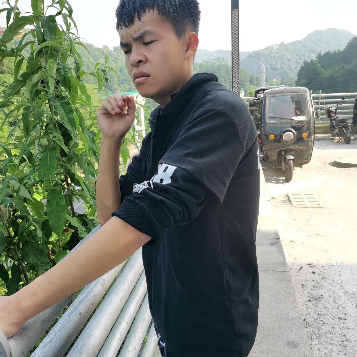 小松鼠愿贪玩的照片