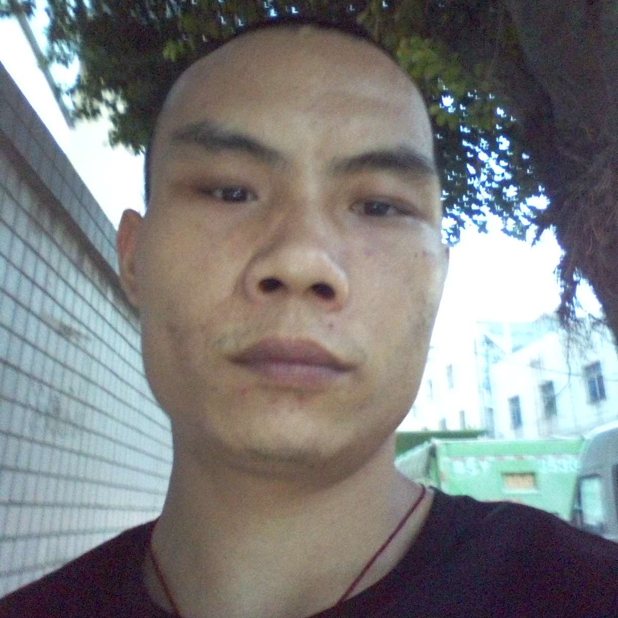 1511的照片