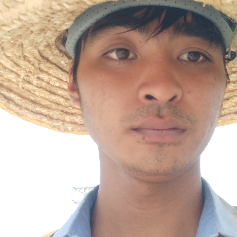 过客说明媚的照片