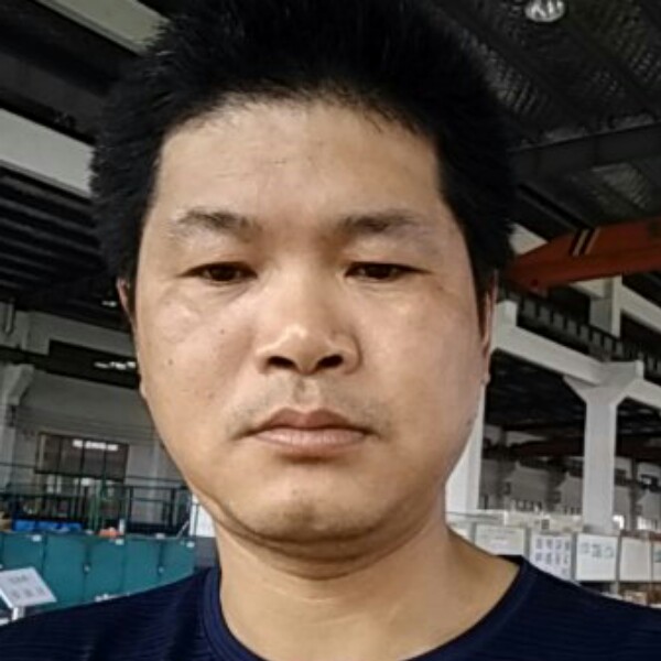 康乃馨寒冷的照片