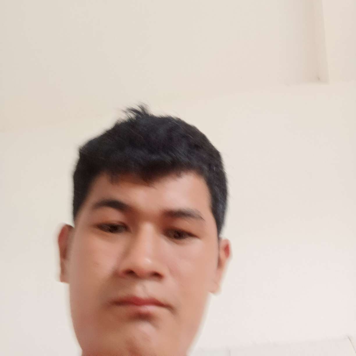 野性邂逅小蚂蚁的照片