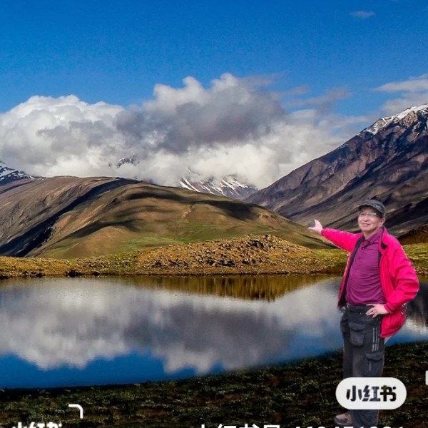 平淡挽手羽毛的照片