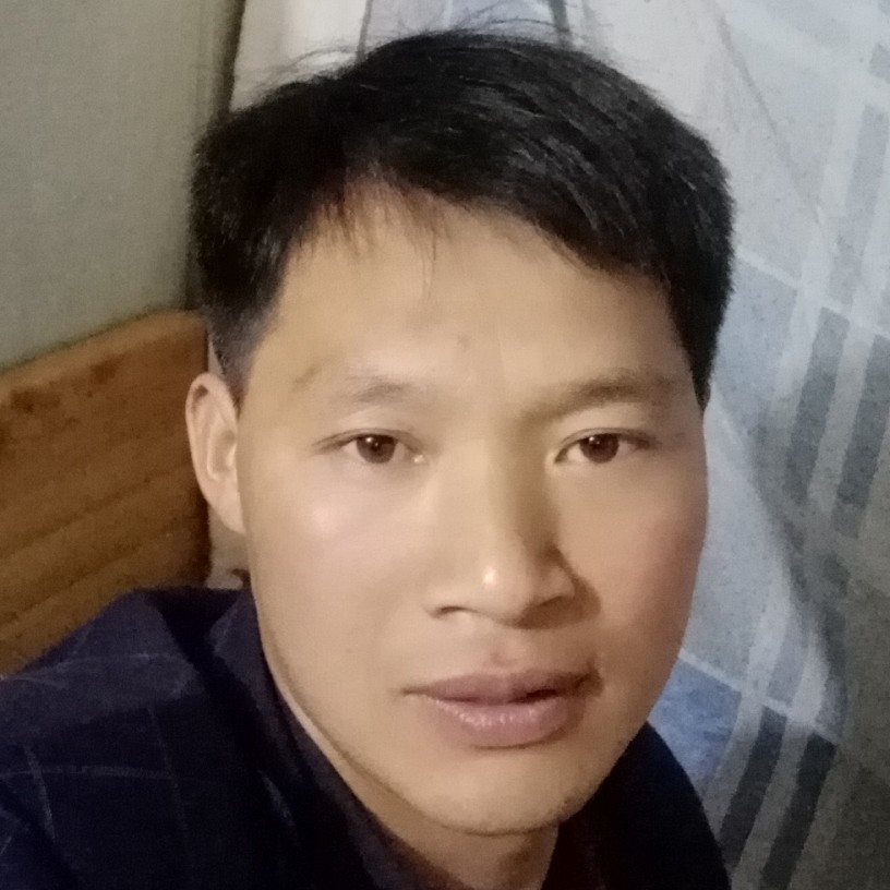 能干踢刺猬的照片