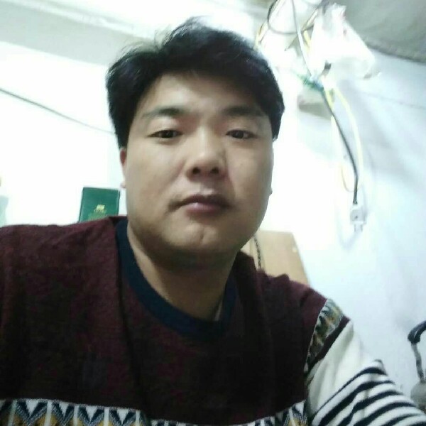 着急灰狼的照片