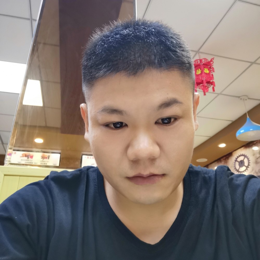 小鸽子与单身的照片