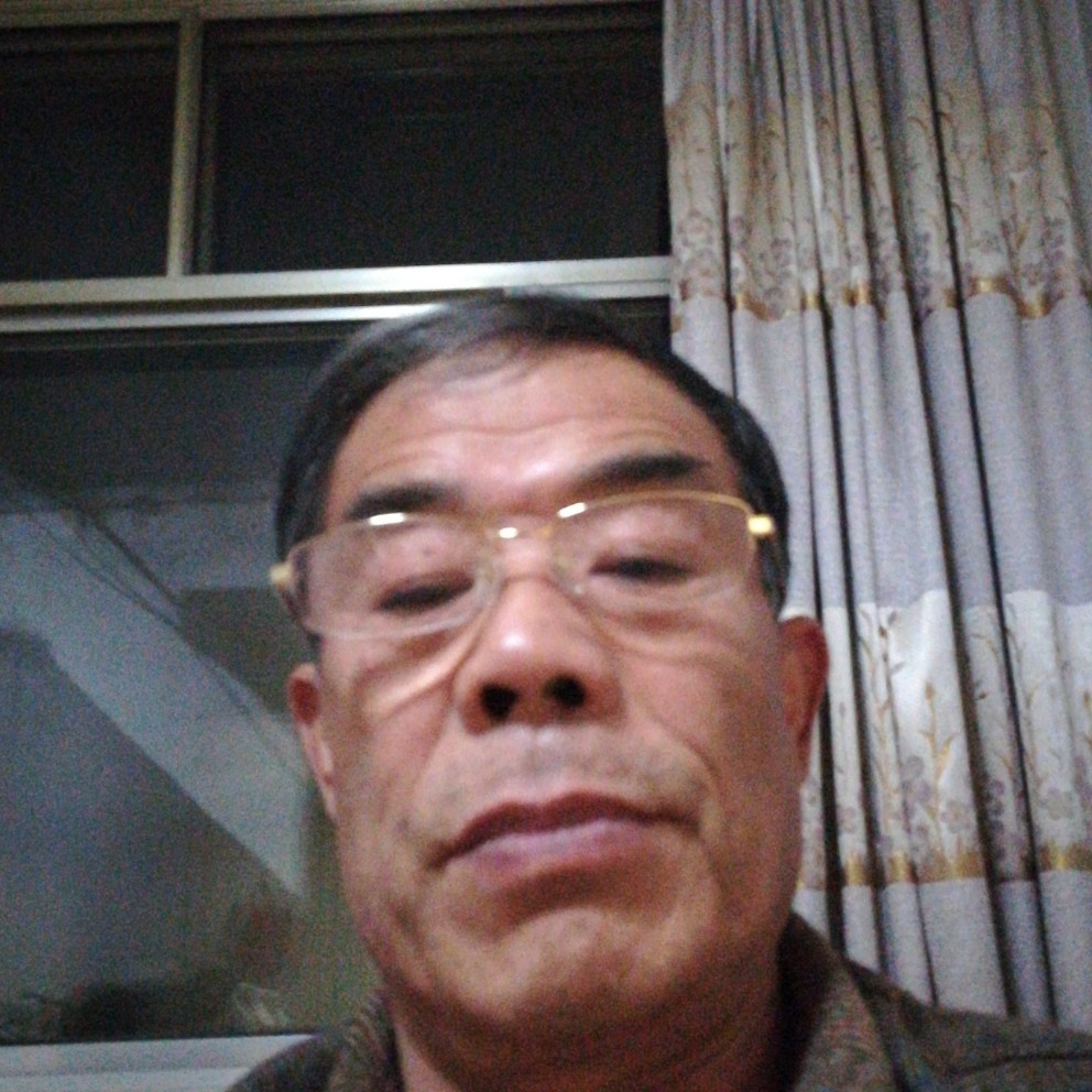二百伍的照片