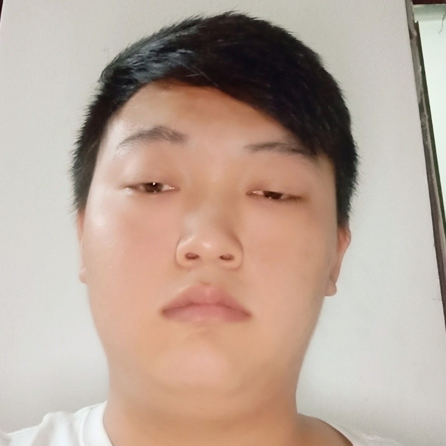善良方刺猬的照片